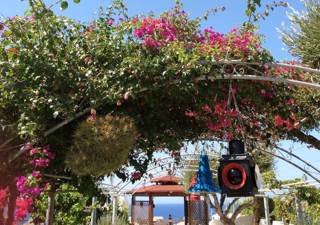 Ferienwohnung Residenza Stefanelli Capo Vaticano Exterior foto